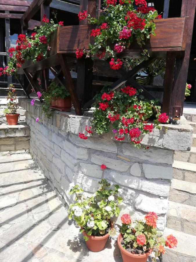 Trifon Zarezan Family Hotel 글라바타르트시 외부 사진